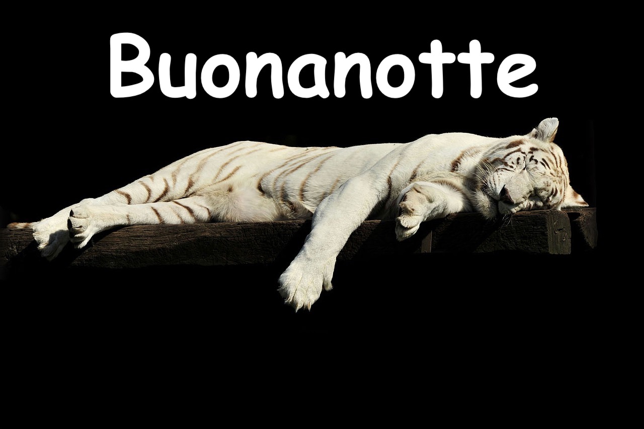 una tigre bianca dorme beata su un tronco d'albero e scritta buonanotte'